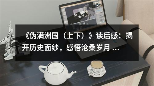 《偽滿洲國（上下）》讀后感：揭開歷史面紗，感悟滄桑歲月 (700字)