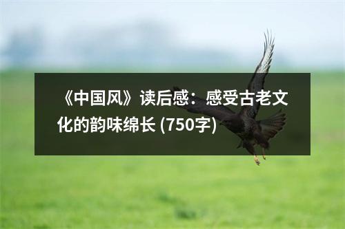 《中國風》讀后感：感受古老文化的韻味綿長 (750字)