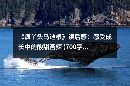 《瘋丫頭馬迪根》讀后感：感受成長中的酸甜苦辣 (700字)