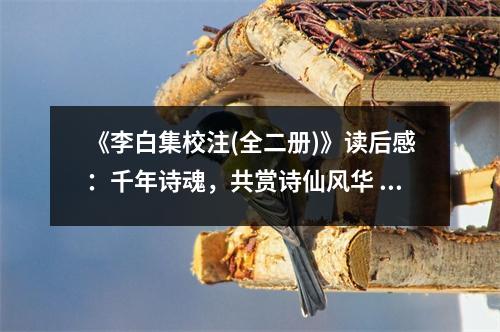 《李白集校注(全二冊)》讀后感：千年詩魂，共賞詩仙風(fēng)華 (950字)