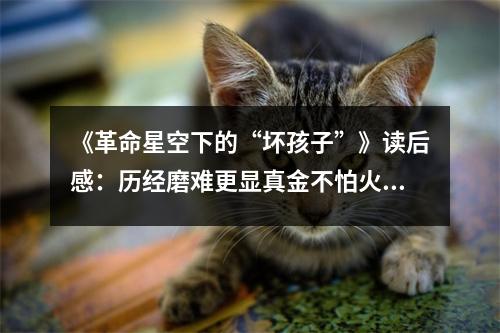 《革命星空下的“壞孩子”》讀后感：歷經(jīng)磨難更顯真金不怕火煉 (750字)
