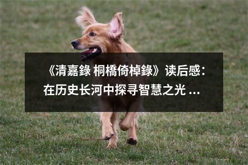 《清嘉錄 桐橋倚棹錄》讀后感：在歷史長河中探尋智慧之光 (750字)