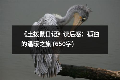 《土撥鼠日記》讀后感：孤獨(dú)的溫暖之旅 (650字)