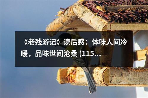 《老殘游記》讀后感：體味人間冷暖，品味世間滄桑 (1150字)