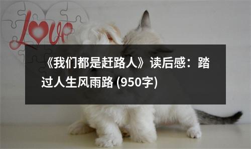 《我們都是趕路人》讀后感：踏過人生風(fēng)雨路 (950字)