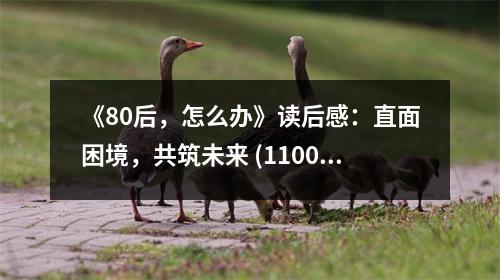 《80后，怎么辦》讀后感：直面困境，共筑未來 (1100字)