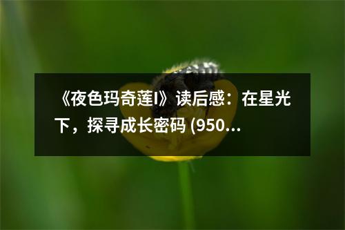 《夜色瑪奇蓮I》讀后感：在星光下，探尋成長密碼 (950字)