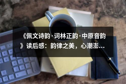 《佩文詩韻·詞林正韻·中原音韻》讀后感：韻律之美，心潮澎湃 (1200字)