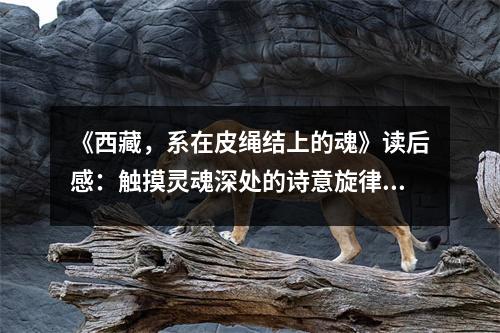 《西藏，系在皮繩結(jié)上的魂》讀后感：觸摸靈魂深處的詩意旋律 (800字)