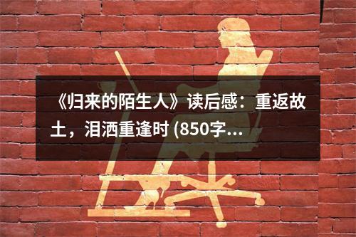 《歸來的陌生人》讀后感：重返故土，淚灑重逢時(shí) (850字)