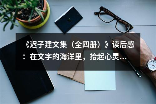 《遲子建文集（全四冊）》讀后感：在文字的海洋里，拾起心靈的珍珠 (850字)