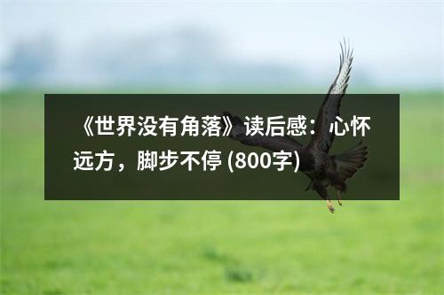 《世界沒有角落》讀后感：心懷遠(yuǎn)方，腳步不停 (800字)