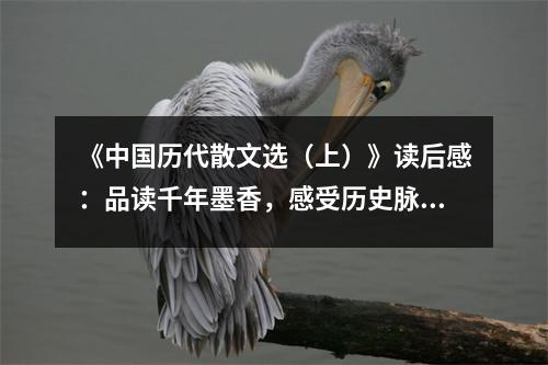 《中國(guó)歷代散文選（上）》讀后感：品讀千年墨香，感受歷史脈搏 (1000字)