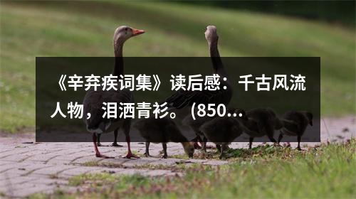 《辛棄疾詞集》讀后感：千古風(fēng)流人物，淚灑青衫。 (850字)