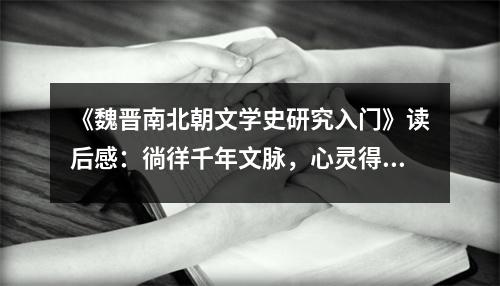 《魏晉南北朝文學(xué)史研究入門》讀后感：徜徉千年文脈，心靈得以洗禮 (1050字)