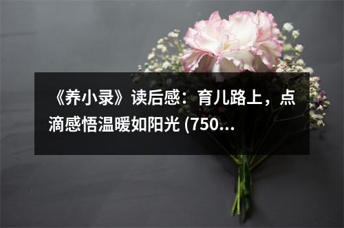 《養(yǎng)小錄》讀后感：育兒路上，點(diǎn)滴感悟溫暖如陽(yáng)光 (750字)