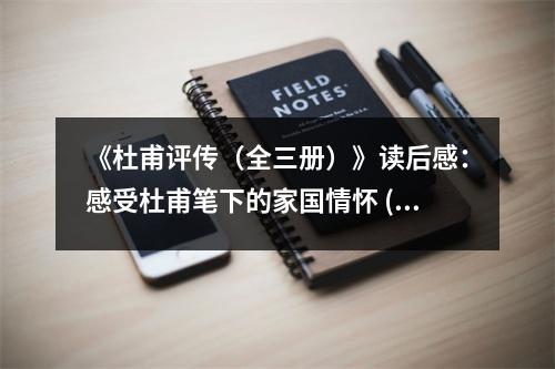 《杜甫評傳（全三冊）》讀后感：感受杜甫筆下的家國情懷 (1150字)