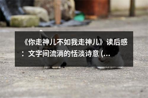 《你走神兒不如我走神兒》讀后感：文字間流淌的恬淡詩意 (800字)