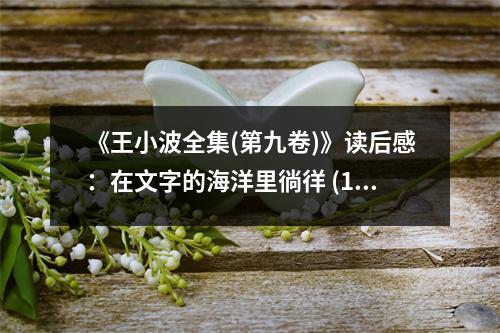 《王小波全集(第九卷)》讀后感：在文字的海洋里徜徉 (1100字)