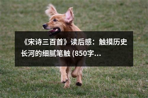《宋詩(shī)三百首》讀后感：觸摸歷史長(zhǎng)河的細(xì)膩筆觸 (850字)
