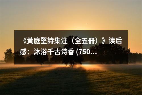 《黃庭堅(jiān)詩(shī)集注（全五冊(cè)）》讀后感：沐浴千古詩(shī)香 (750字)