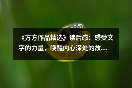 《方方作品精選》讀后感：感受文字的力量，喚醒內心深處的故事 (850字)