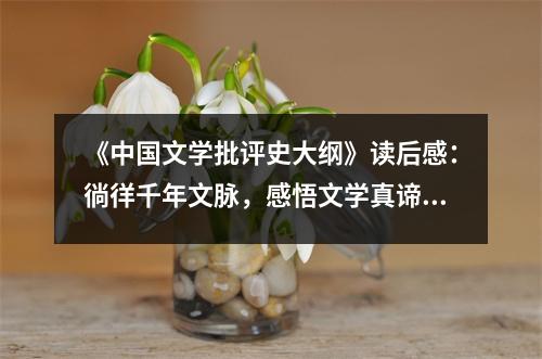 《中國文學(xué)批評史大綱》讀后感：徜徉千年文脈，感悟文學(xué)真諦 (850字)