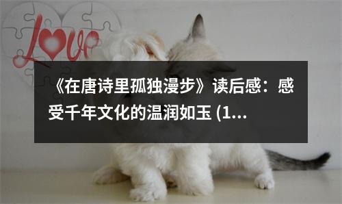 《在唐詩里孤獨漫步》讀后感：感受千年文化的溫潤如玉 (1000字)
