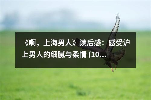 《啊，上海男人》讀后感：感受滬上男人的細膩與柔情 (1000字)