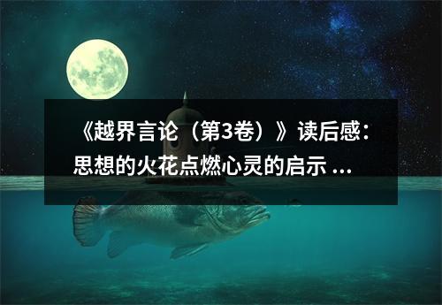 《越界言論（第3卷）》讀后感：思想的火花點燃心靈的啟示 (1050字)