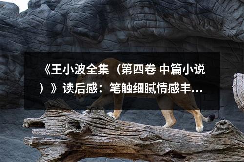 《王小波全集（第四卷 中篇小說）》讀后感：筆觸細膩情感豐盈 (750字)