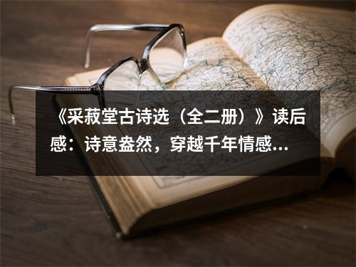《采菽堂古詩選（全二冊）》讀后感：詩意盎然，穿越千年情感共鳴 (1050字)
