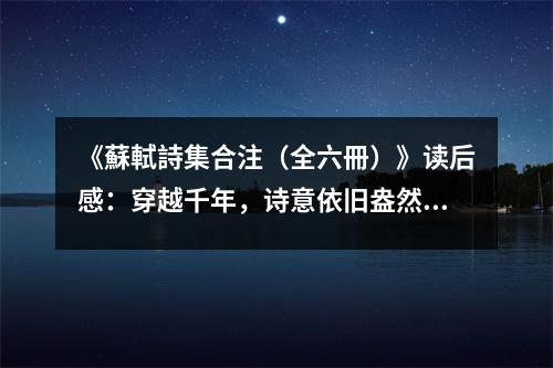 《蘇軾詩(shī)集合注（全六冊(cè)）》讀后感：穿越千年，詩(shī)意依舊盎然 (900字)