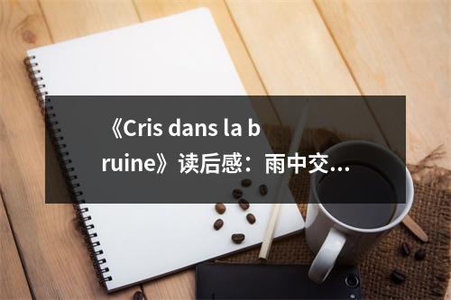 《Cris dans la bruine》讀后感：雨中交響曲，心靈共鳴深處 (800字)