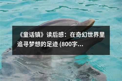 《童話鎮(zhèn)》讀后感：在奇幻世界里追尋夢想的足跡 (800字)