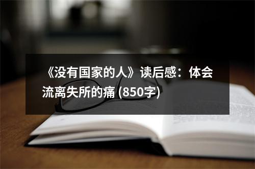 《沒有國家的人》讀后感：體會流離失所的痛 (850字)