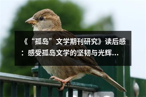 《“孤島”文學期刊研究》讀后感：感受孤島文學的堅韌與光輝 (750字)