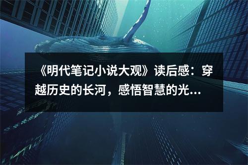 《明代筆記小說大觀》讀后感：穿越歷史的長河，感悟智慧的光芒 (750字)