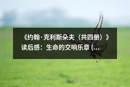 《約翰·克利斯朵夫（共四冊）》讀后感：生命的交響樂章 (750字)