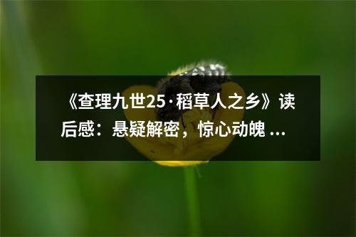 《查理九世25·稻草人之鄉(xiāng)》讀后感：懸疑解密，驚心動(dòng)魄 (1050字)