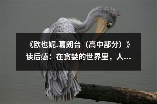 《歐也妮.葛朗臺（高中部分）》讀后感：在貪婪的世界里，人性之光依然閃耀 (850字)