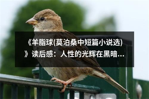 《羊脂球(莫泊桑中短篇小說選)》讀后感：人性的光輝在黑暗中閃爍 (750字)