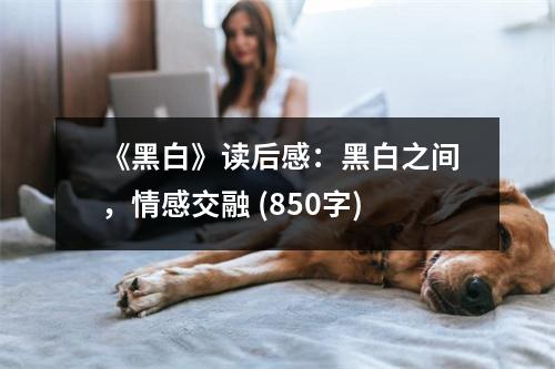 《黑白》讀后感：黑白之間，情感交融 (850字)
