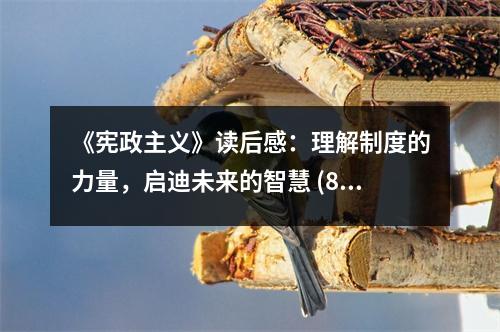 《憲政主義》讀后感：理解制度的力量，啟迪未來的智慧 (800字)