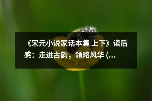 《宋元小說家話本集 上下》讀后感：走進古韻，領略風華 (700字)