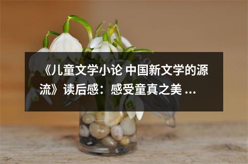 《兒童文學小論 中國新文學的源流》讀后感：感受童真之美 (1100字)