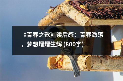 《青春之歌》讀后感：青春激蕩，夢想熠熠生輝 (800字)