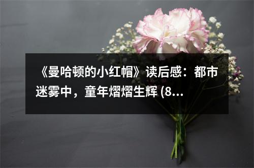 《曼哈頓的小紅帽》讀后感：都市迷霧中，童年熠熠生輝 (800字)