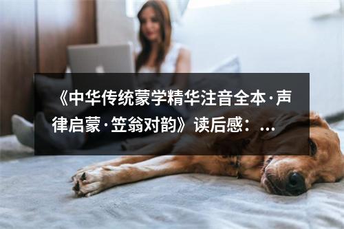 《中華傳統(tǒng)蒙學(xué)精華注音全本·聲律啟蒙·笠翁對韻》讀后感：感受傳統(tǒng)韻律之美 (800字)