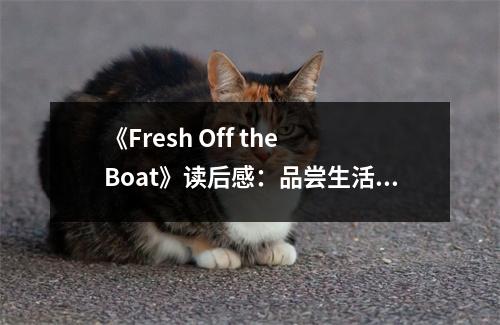 《Fresh Off the Boat》讀后感：品嘗生活的酸甜苦辣 (950字)